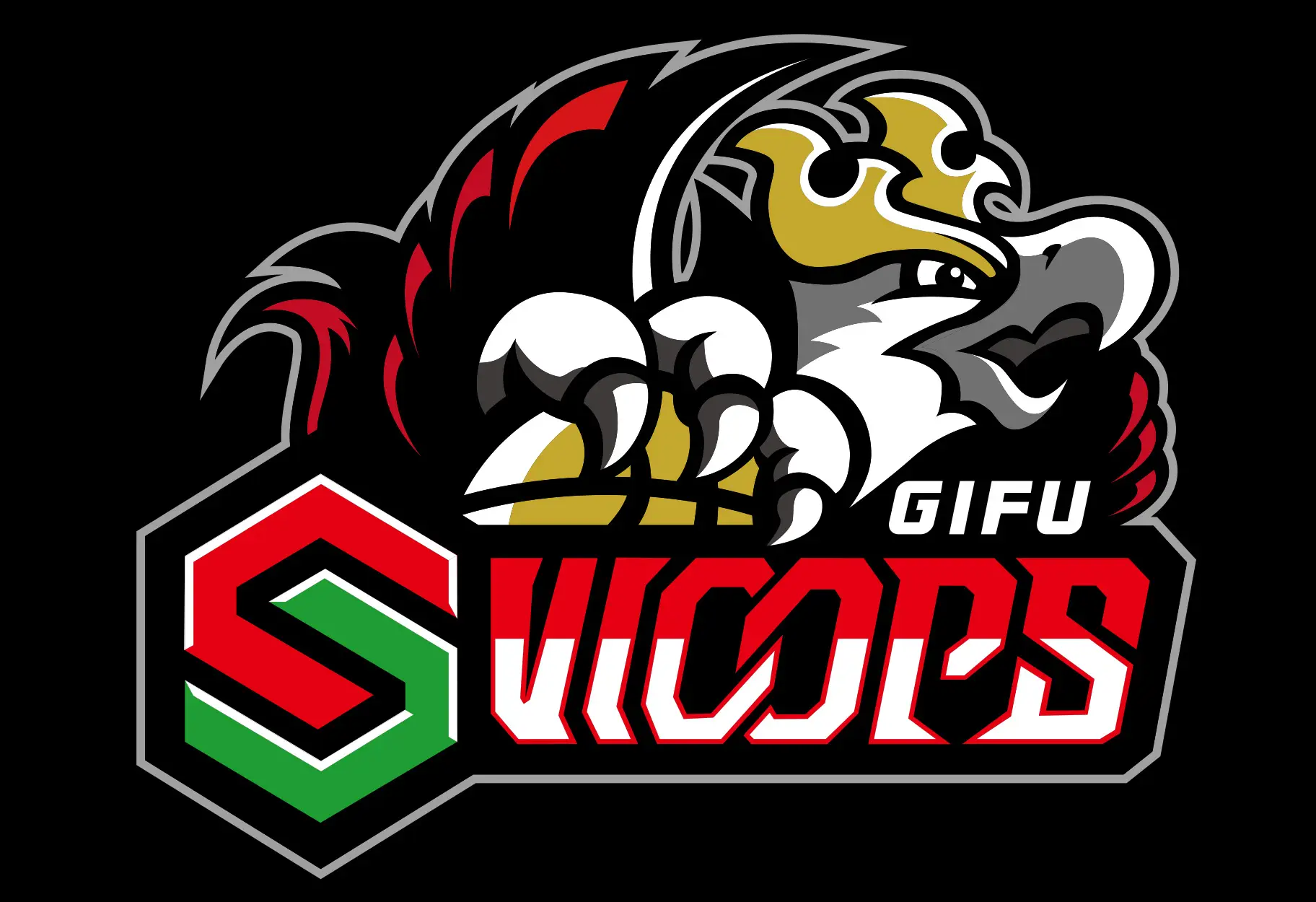岐阜スゥープス バスケットボールスクール・チアダンススクール